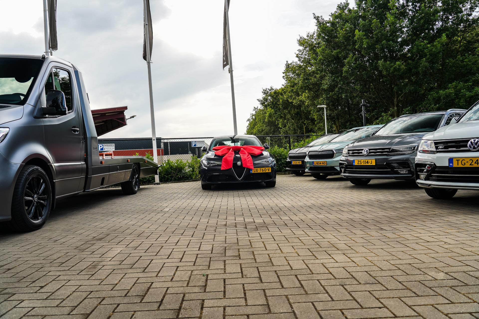 43904836-76.jpg